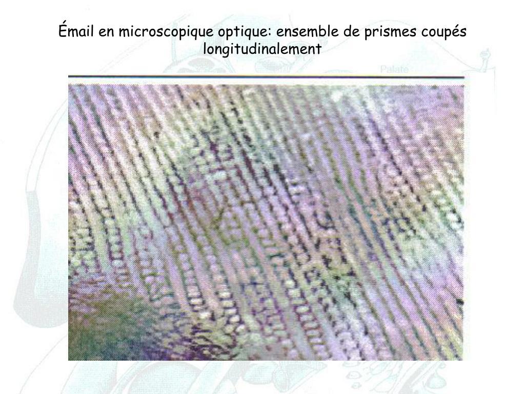 Mail en microscopique optique ensemble de prismes coup s longitudinalement l 1